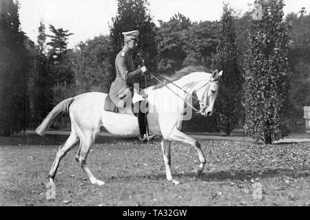 Le Prince Wilhelm se déplace sur un cheval blanc dans le parc du palais de marbre. Banque D'Images