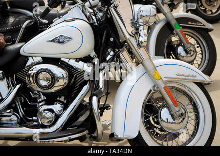 Détail de motos Harley-Davidson Banque D'Images
