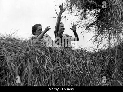 Les membres de la BDM, qui passent leur Landdienst en Prusse Orientale (aujourd'hui Pologne), voyagent par une balade en calèche à la moisson. Banque D'Images