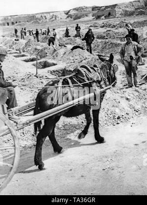 Photo d'une excavation de charniers de combattants tombés à Madrid pendant la guerre civile espagnole. Au premier plan, une charrette à âne. Banque D'Images