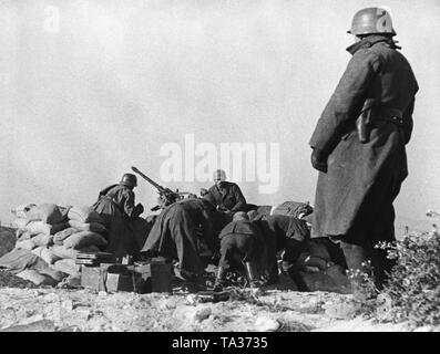 Photo non datée d'une unité antiaérienne de la légion Condor dans une attaque au sol. Les soldats utilisent un 2cm Flak 30 pour l'opération. La position est protégé par des sacs de sable. Au premier plan, un agent permanent. Les soldats portent des casques d'acier M35. Banque D'Images