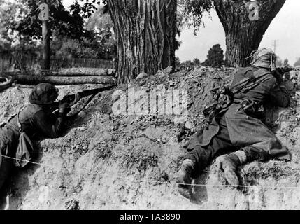 Les soldats allemands but rifles (modèle Mauser 98) à les lignes ennemies. Photo de l'entreprise de propagande (PK) : correspondant de guerre Baumann. Banque D'Images