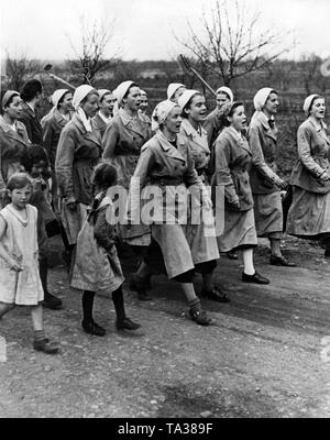 Les membres de la BDM sur leur façon de travailler dans les fermes, à laquelle ils ont été affectés, de leur Landjahr Elisabeth-Hoehe "camp" à Werder (Havel). Banque D'Images