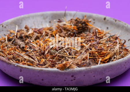 Marigold graines sèches (Mexicain, Aztec marigold souci, calendula africaine) dans une plaque en céramique sur fond coloré. Tagetes erecta. La famille des marguerites. Banque D'Images