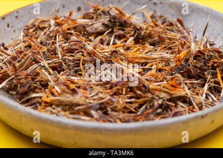 Marigold graines sèches (Mexicain, Aztec marigold souci, calendula africaine) dans une plaque en céramique sur fond coloré. Tagetes erecta. La famille des marguerites. Banque D'Images