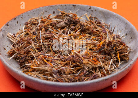 Marigold graines sèches (Mexicain, Aztec marigold souci, calendula africaine) dans une plaque en céramique sur fond coloré. Tagetes erecta. La famille des marguerites. Banque D'Images