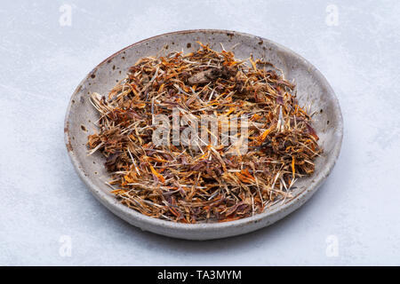 Marigold graines sèches (Mexicain, Aztec marigold souci, calendula africaine) dans une plaque en céramique sur fond coloré. Tagetes erecta. La famille des marguerites. Banque D'Images