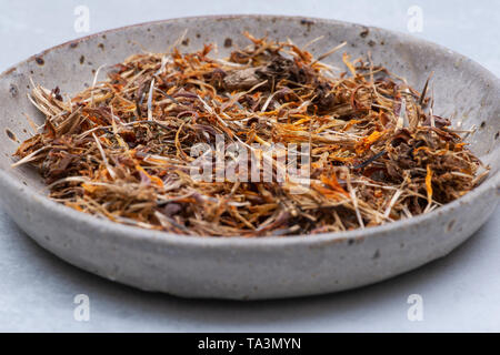 Marigold graines sèches (Mexicain, Aztec marigold souci, calendula africaine) dans une plaque en céramique sur fond coloré. Tagetes erecta. La famille des marguerites. Banque D'Images