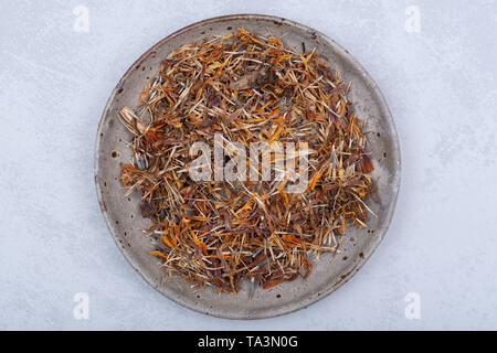 Marigold graines sèches (Mexicain, Aztec marigold souci, calendula africaine) dans une plaque en céramique sur fond coloré. Tagetes erecta. La famille des marguerites. Banque D'Images