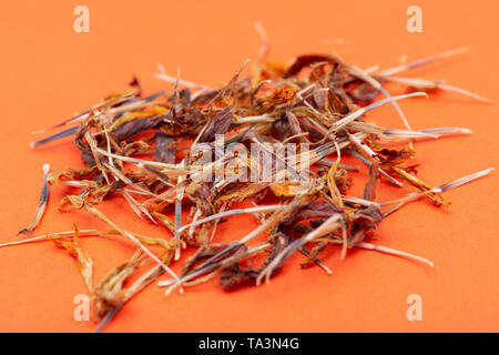 Tas de graines sèches de souci (Calendula Mexicaine, Aztec marigold, marigold africains) sur fond coloré. Tagetes erecta. La famille des marguerites. Banque D'Images