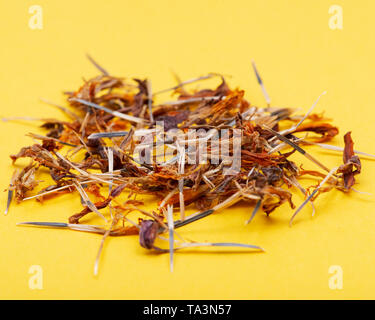 Tas de graines sèches de souci (Calendula Mexicaine, Aztec marigold, marigold africains) sur fond coloré. Tagetes erecta. La famille des marguerites. Banque D'Images