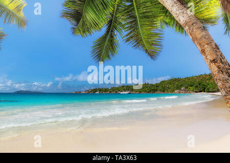 Sunny Beach avec cocotiers et mer turquoise de Paradise Island. Banque D'Images