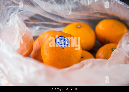 Mandarines acheté dans le supermarché dans un sac en plastique à usage unique de produire. Pas l'environnement. Beaux fruits orange, avec l'étiquette de marque. Banque D'Images