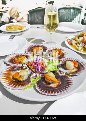 Pétoncles grillés galicien, salade de fruits de mer et vin blanc sur fond blanc. Pétoncle bigarré ibérique (Zamburiñas). Banque D'Images