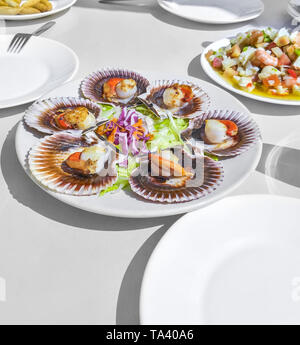 Pétoncles grillés et salade de crevettes galicien sur fond blanc. Pétoncle bigarré ibérique (Zamburiñas). Banque D'Images