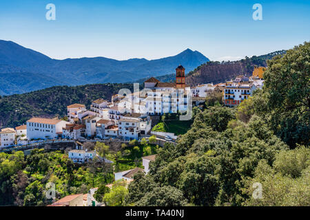 Village andalou blanc, Pueblo Blanco Algatocin. Province de Malaga, Espagne Banque D'Images