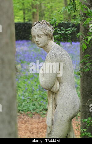 Renishaw Hall, Derbyshire, Royaume-Uni. Bluebells dans le jardin boisé entourant le temple classique de Diana à Renishaw Hall and gardens, Derbyshire, Royaume-Uni Banque D'Images