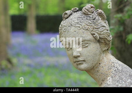 Renishaw Hall, Derbyshire, Royaume-Uni. Bluebells dans le jardin boisé entourant le temple classique de Diana à Renishaw Hall and gardens, Derbyshire, Royaume-Uni Banque D'Images