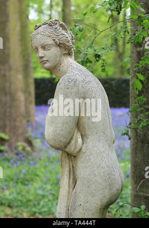 Renishaw Hall, Derbyshire, Royaume-Uni. Bluebells dans le jardin boisé entourant le temple classique de Diana à Renishaw Hall and gardens, Derbyshire, Royaume-Uni Banque D'Images