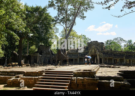 Grand arbre coton soie, kapok (Ceiba pentandra) issues de la toiture du Gopuram III à Preah Khan, tandis que les touristes avec des parasols sont à explorer. Banque D'Images