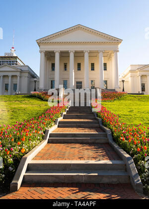 Les tulipes fleurissent en plein soleil à la formation de capital à Richmond Banque D'Images