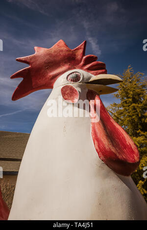 Poulet en fibre de verre pour une statue de defunt fried chicken restaurant. Trouvé sur la route route 66. Banque D'Images