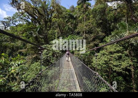 Female hiker sur un pont suspendu dans la forêt tropicale, Mistico Arenal Suspension Bridge Park, Mistico ponts suspendus d'Arenal Park, Alajuela Banque D'Images