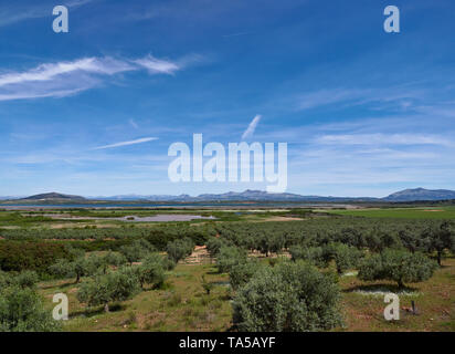 Le Lagon d'eau salée à Fuente de Piedra, vu sur les oliveraies de la entourant les terres arables en Andalousie, Espagne en avril. Banque D'Images