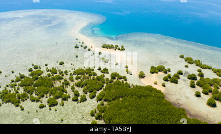 Île tropicale, de mangroves et de lagons turquoise sur un récif de corail, vue du dessus. L'île de Fraser, seascape Honda Bay, aux Philippines. Les lagons et atolls avec sable blanc. Banque D'Images