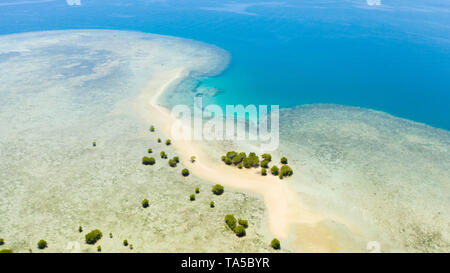 Île tropicale, de mangroves et de lagons turquoise sur un récif de corail, vue du dessus. L'île de Fraser, seascape Honda Bay, aux Philippines. Les lagons et atolls avec sable blanc. Banque D'Images