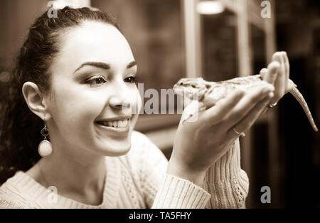 Femme regardant client ordinaire gecko marron caméléon et en close up Banque D'Images