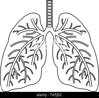 Les poumons humains vecteur icône plat isolé sur fond blanc. organe poumon symbole anatomie de la santé et des illustrations Illustration de Vecteur