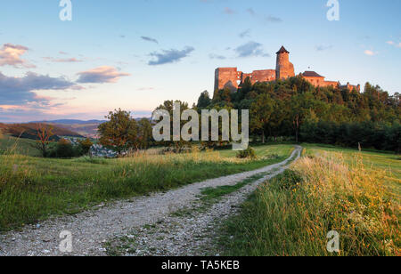 Stara Lubovna château en Slovaquie, l'Europe vue Banque D'Images