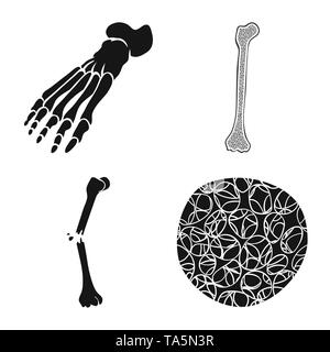 Fracture du fémur,pieds,de,l'ostéoporose,cheville,la douleur,cell,osseux sain,jambe,biais,tissu,,la podologie,dommage,Genou,avant-pied,conjonctif,tibia,DE,panneaux,cartilage péroné,structure,l'appareil locomoteur, les pieds plats,linstallation,mouvement,fibre optique,joints,,scientifique,biologie,médical,os,squelette humain,anatomie organes,médecine,clinique,,set,icône,,illustration,collection,isolé,design,graphisme,élément,signer,Black,de simples vecteurs vecteur , Illustration de Vecteur