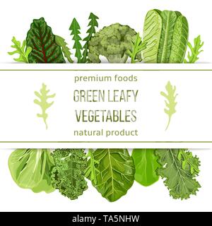 Populaires les légumes verts. Jeu d'étiquettes avec texte sur bande. texte, copt espace. farm d'épinards frais, le pissenlit, le brocoli, la laitue romaine, le kale, Colla Illustration de Vecteur