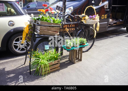 Fleurs parfaites shop bike outsdie la boutique en roches Street, Limerick, Irlande Banque D'Images