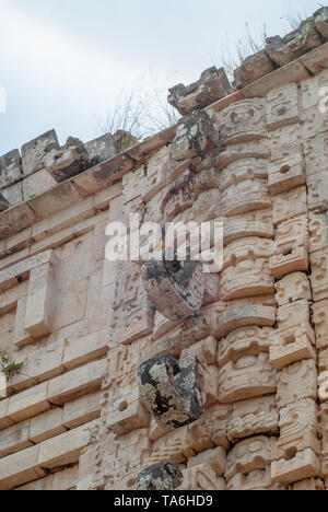 Détails de décorations architecturales, de structures mayas, représentant des hommes de l'éléphant, dans la zone archéologique d'Uxmal, dans le Yucatan mexicain peninsul Banque D'Images