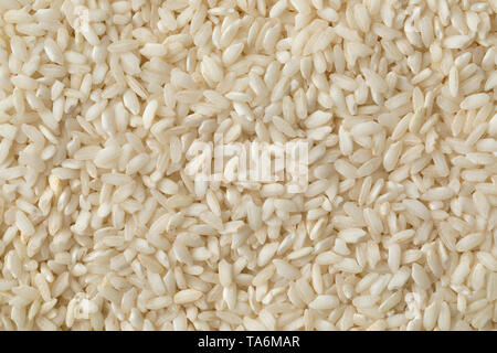 Riz Risotto Carnaroli italien full frame Banque D'Images