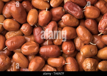 Les fruits de l'Oleaster, argent berry ou chalef close up full frame Banque D'Images