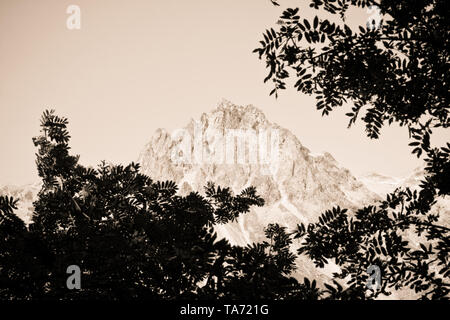 Balade autour du Lac de Sils - Vallée de la Haute-engadine - Suisse. Banque D'Images