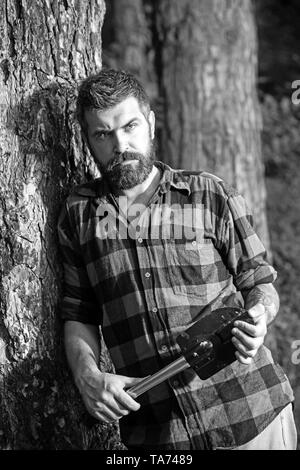 Bûcheron brutal holding petit chat et s'appuyant sur l'ancien arbre. Hipster avec barbe élégant errant dans désert. Jeune chercheur concentré Banque D'Images