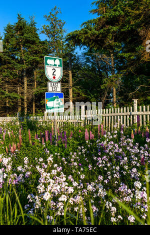 Côte des pignons verts, une route panoramique sur l'Île du Prince Édouard. Banque D'Images