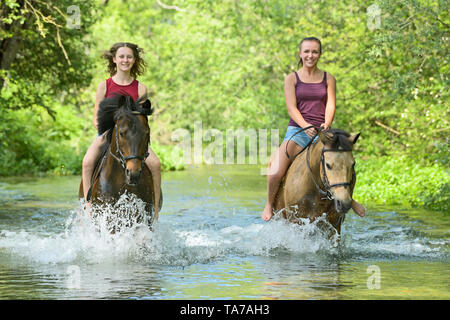 Poney Équitation allemande. Les filles sur le dos de poneys équitation bareback dans un ruisseau. Allemagne Banque D'Images