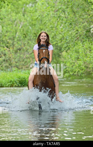 Jeune femme sur le dos de poney baie bareback dans un ruisseau. Allemagne Banque D'Images