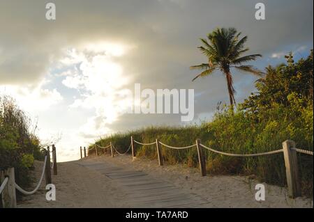 Bordée de sable, cordée, promenade menant à la plage à l'aube, le lever du soleil à South Beach, Miami Beach, Florida, USA Banque D'Images