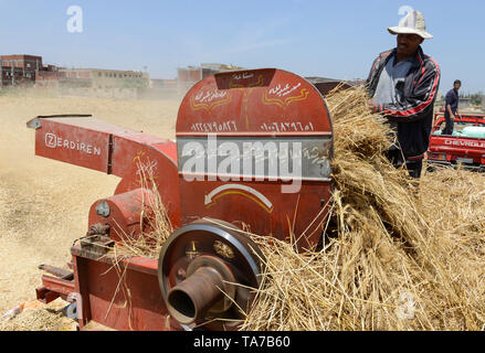 L'Égypte, Beheira gouvernorat, Kafra, Eldawar l'agriculture dans le delta du Nil , récolte de blé , trashing machine/ AEGYPTEN, Beheira, Landwirtschaft im, Nildelta Dreschmachine, Weizen von Ernte Banque D'Images