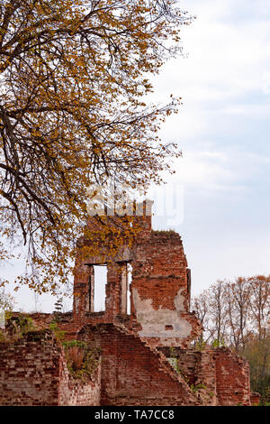 Belle vue de vieux murs en brique rouge historique ruine des capacités en Russie. La cheminée de l'ancien bâtiment détruit contre le ciel bleu et tre Banque D'Images