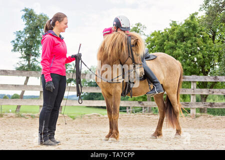 Cheval islandais. La formation d'une jeune jument. Il apprend à accepter la bride, le cheval et le cavalier. L'Autriche Banque D'Images