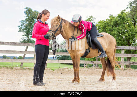 Cheval islandais. La formation d'une jeune jument. Il apprend à accepter la bride, le cheval et le cavalier. L'Autriche Banque D'Images