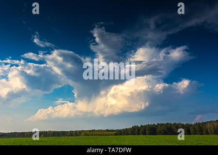 Les cumulus en travers de ciel bleu brillant Banque D'Images